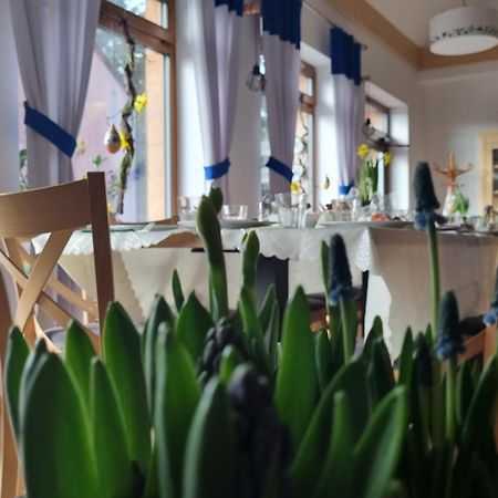 Zakatek Reja Apartment Картузи Екстериор снимка