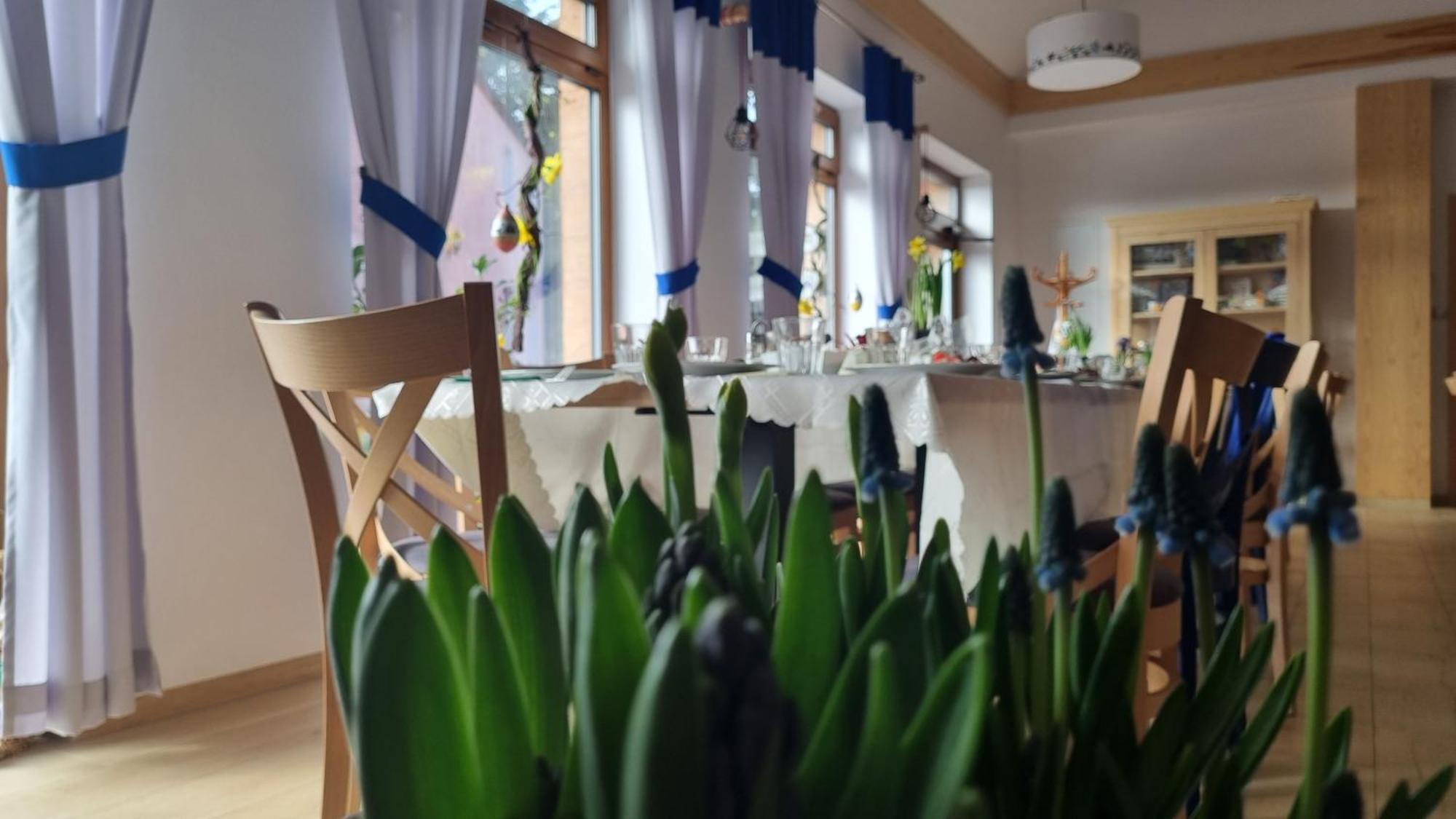 Zakatek Reja Apartment Картузи Екстериор снимка